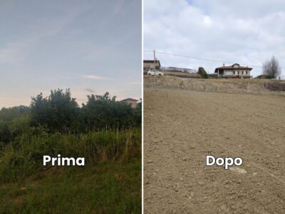 Terreno Noccioleto